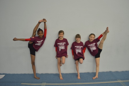 School Games makes 2017 bow with Gymnastics