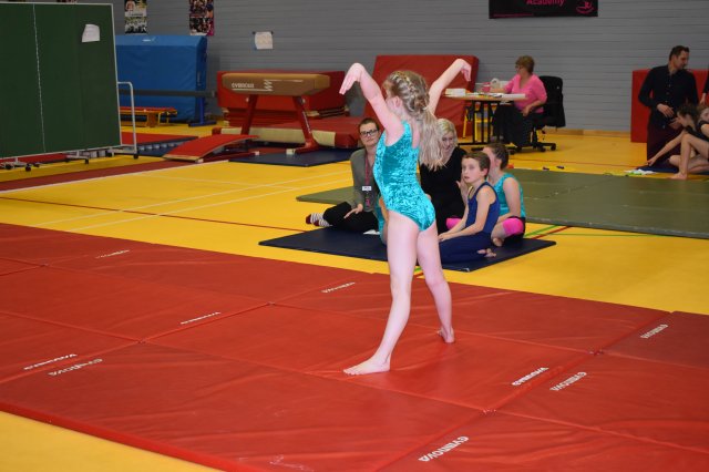 An Amazing Array of Talent Displayed at the School Games Super-Series Gymnastics Final!