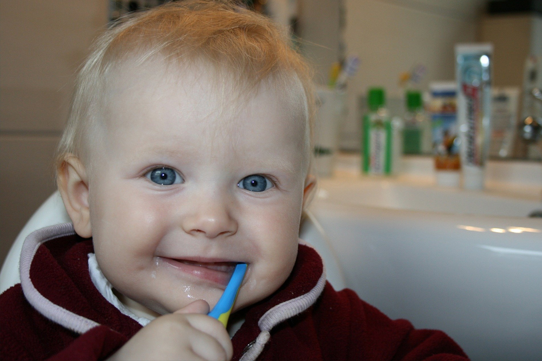 How do I brush my child's teeth? (6 months to 7 years)