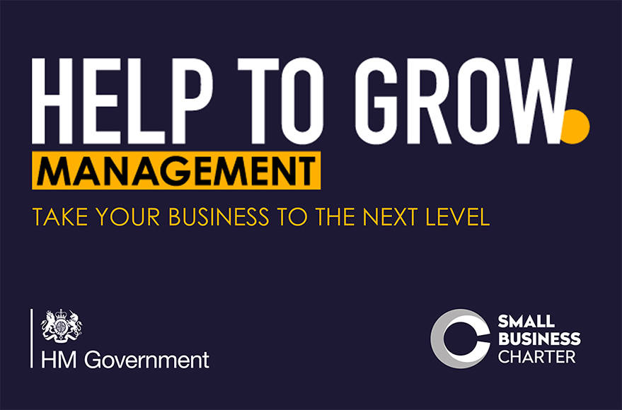 Help to Grow: Management programme