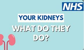 NHS- your kidneys