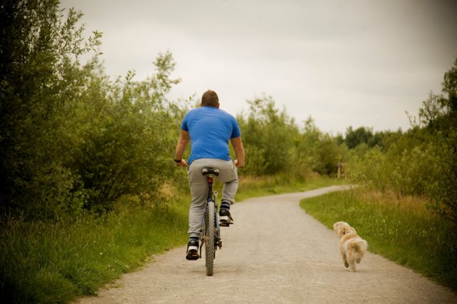 Find out more about walking, running and cycling