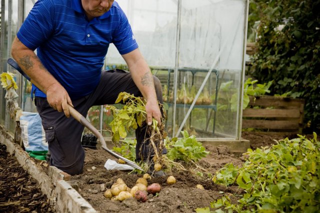 Find out more about Gardening