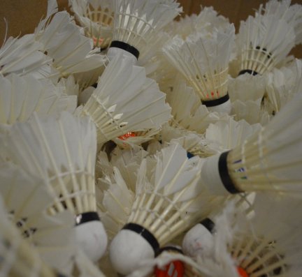 Return to Play: Badminton