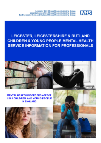 Mental Health Services for CYP