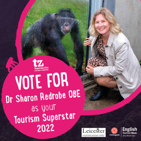 Twycross Zoo CEO is finalist in national Tourism Superstar award