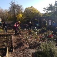 Bradgate Park Gardening Volunteer