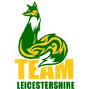 Team Leicestershire Finals - Primary Mixed Basketball Icon