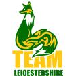 Team Leicestershire Final - Badminton Girls - KS3