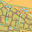 Hamilton Virtual Orienteering Course Icon