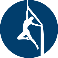 Aerial Slings (Yoga Hammocks) Mixed Abilities ONLINE