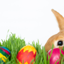 Easter Bunny Hunt Icon