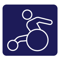 Disability Athletics Track & Field Competition