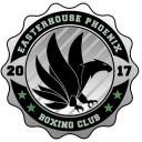 Easterhouse Phoenix Boxing - ASN Session Icon