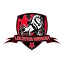 Leicester Nirvana Juniors/Youth Football Club Icon