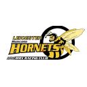 Leicester Huncote Hornets BMX Racing Club Icon