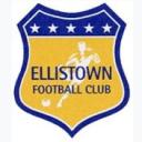 Ellistown Football Club - Volunteer Icon