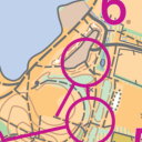 Watermead Mammoth Orienteering Course Icon