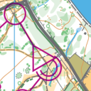 Willesley Woods Virtual Orienteering Icon