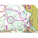 Martinshaw Woods Virtual Orienteering Icon