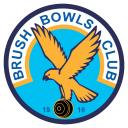 Brush Bowls Club Icon